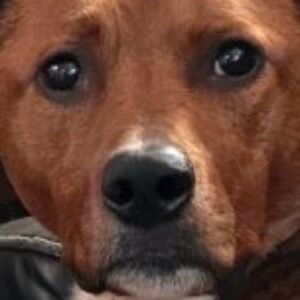 Profile photo of Blake