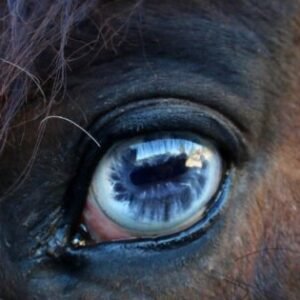 Profile photo of Marvin